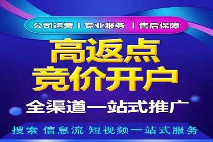 竞价广告案例：网络推广新思路